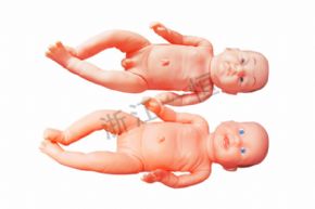 生物及医疗模型XY-451 新生婴儿护理（男女）